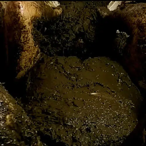 Three Buckets at home