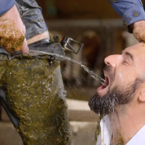 The Dirty Dung Business