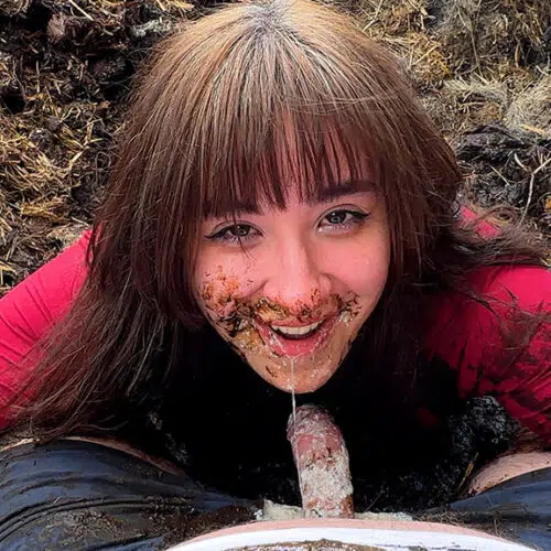 Explosion On The Muck Heap