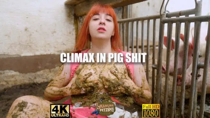 Remolque Climax En Mierda De Cerdo