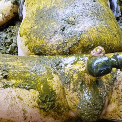 Girlfriend's Cowshed Tour