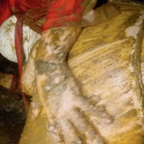 Midnight Orgasm In The Outhouse