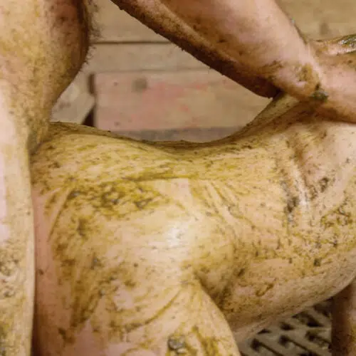 Mistress Marlena Sex In Cowshit